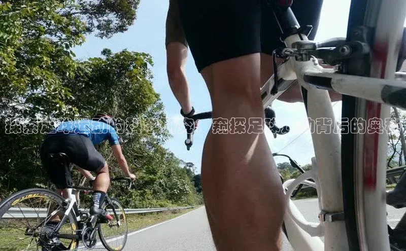 凯捷娱乐阿里尔公司