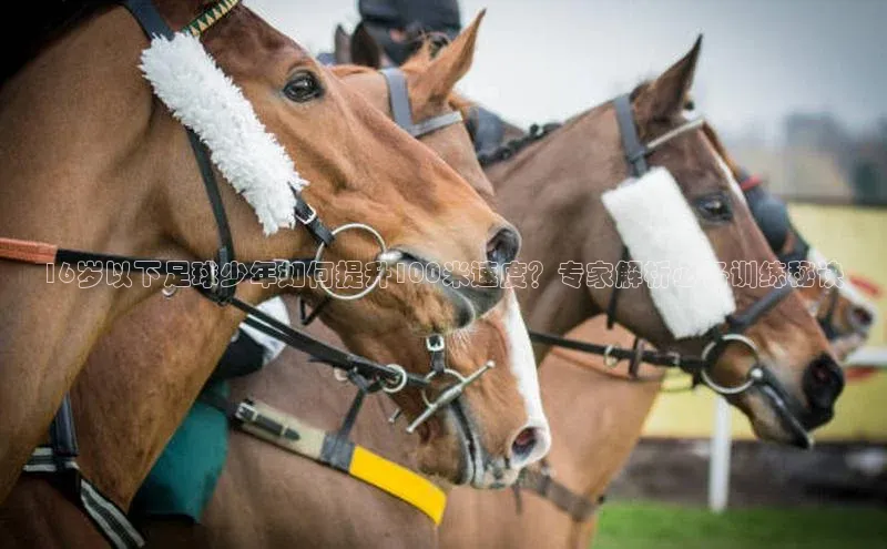 意昂4凯捷体育百度翻译App