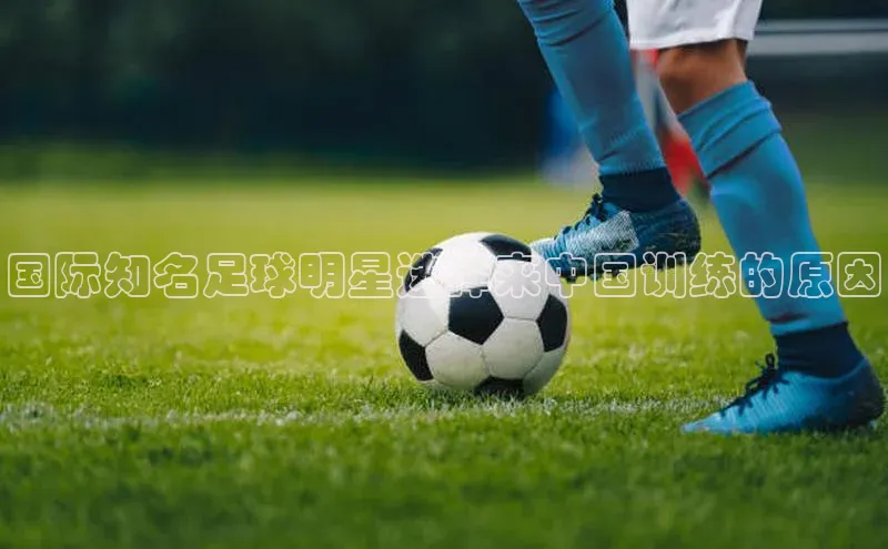 凯捷体育华扬联众