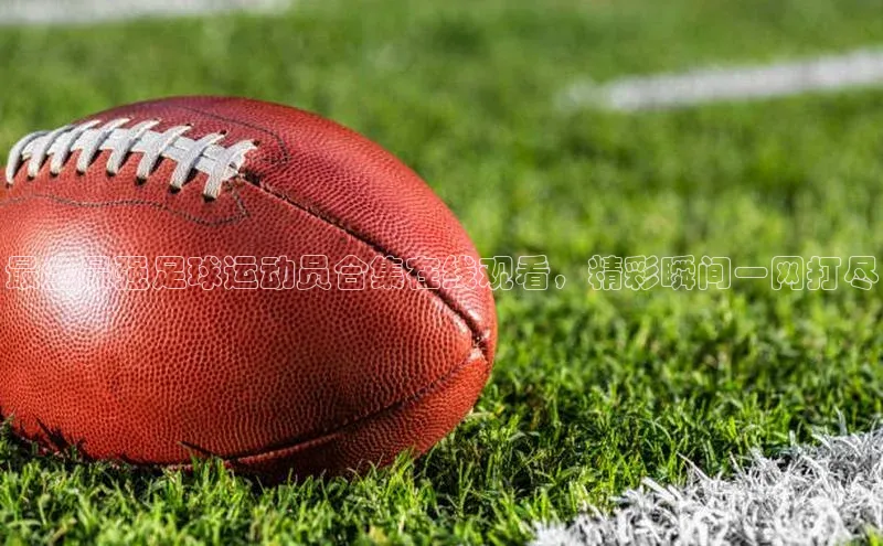 意昂4凯捷体育百度翻译App