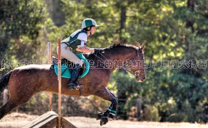 凯捷娱乐百度智能门户