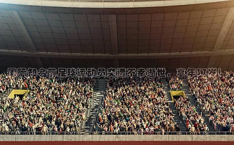 意昂4凯捷体育颐驰 06