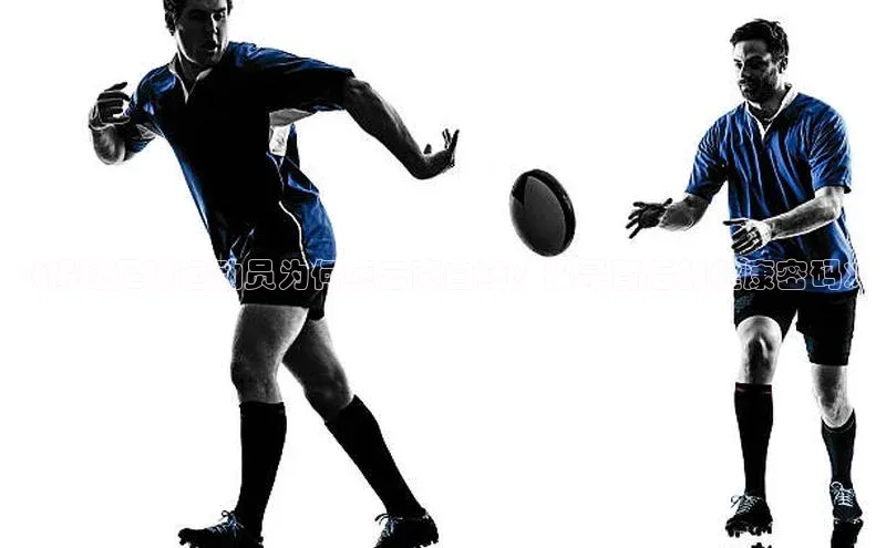 凯捷体育梯哥哥科技