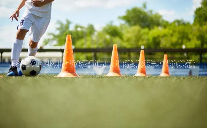 凯捷百度数据开放平台