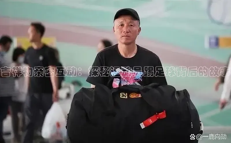 凯捷路畅科技