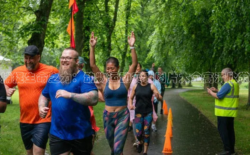 凯捷体育梯哥哥科技